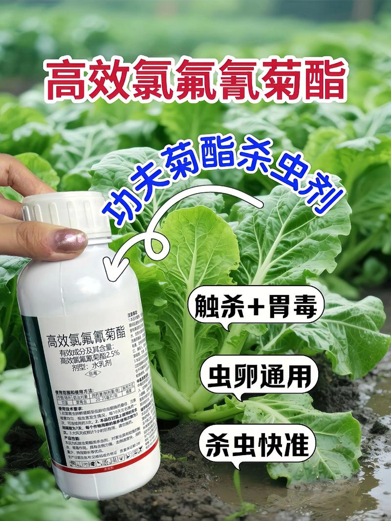 铜仁代生中心:农药对供卵代生妈妈的危害